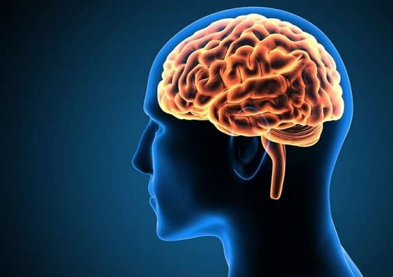 Brain Disorders